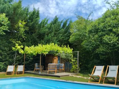 a pool with chairs and a table and a pergola with a grapevine at Proche Carcassone chambre avec salle de bain et WC privée Piscine salon et kitchenette partagés avec voyageurs in Cépie