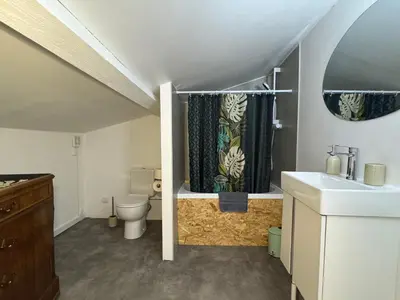 a bathroom with a toilet and a shower curtain at Proche Carcassone chambre avec salle de bain et WC privée Piscine salon et kitchenette partagés avec voyageurs in Cépie