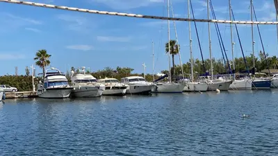a bunch of boats docked in a harbor at Voilier à quai in Gruissan
