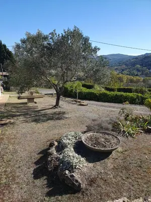 a garden with a tree and a bowl of plants at Le Gîte Sambacacia in Montazels