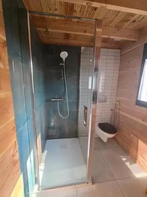 a shower in a bathroom with a toilet at Chalet Lac de la Raviège la Laurinette SPA in Anglès