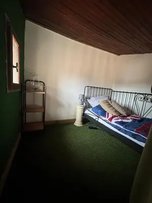 a bedroom with a bed and a green carpet at Au cœur de l'histoire in Narbonne