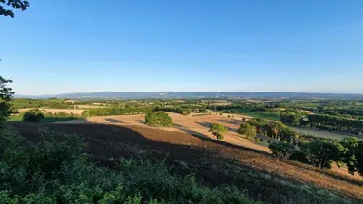 an open field with trees on a hill at Le Refuge du Tarn - Grand Jardin in Puylaurens