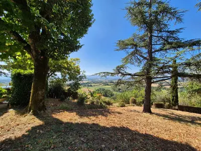 two trees on a hill with a view at Le Refuge du Tarn - Grand Jardin in Puylaurens