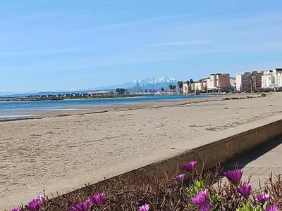 a beach with purple flowers in the sand and buildings at Joli appartement climatisé résidence avec piscine et plage du Grazel à 180m in Gruissan