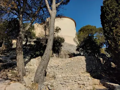 a tree sitting on the side of a stone staircase at Joli appartement climatisé résidence avec piscine et plage du Grazel à 180m in Gruissan