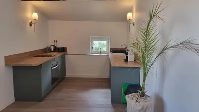 a kitchen with a counter and a potted plant at Maison Barbaira