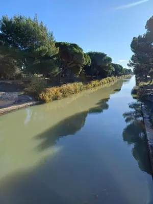 a river with trees on the side of it at Villa d'architecte avec piscine chauffée, 4 chambres, à 30 mn Gruissan plage in Sallèles-dʼAude
