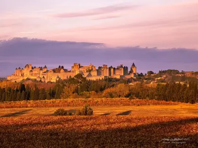 a large castle on a hill with a field at B&B-Les Balcons de Maragon in Carcassonne