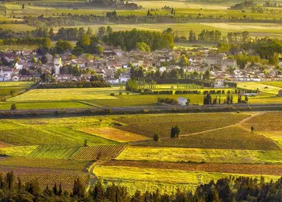 a view of a field with a town in the background at Les 2 Petits Lapins in Luc-sur-Orbieu
