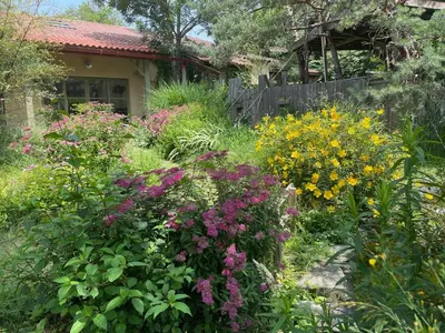 a garden with colorful flowers in front of a house at Gîte de l'atelier in Sorèze in Sorèze