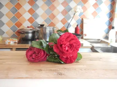 a bouquet of red roses sitting on a cutting board at Lagrasse Romantic house, enclosed garden, pool in Lagrasse
