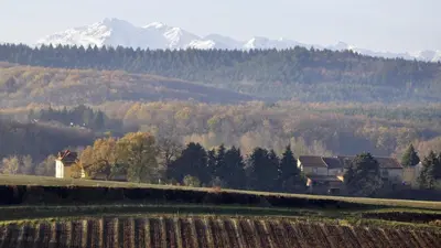 a field with a mountain in the background with houses and trees at Maison Tranquil in Bellegarde-du-Razès