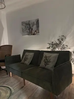 a green couch sitting in a living room at Magnifique T3, OU Suite Elégance , à 4 min en voiture des Grands buffets in Narbonne