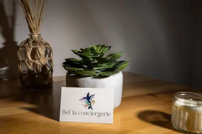 a plant in a pot sitting on a table with a sign at Le Petit Capoine 3 - T2 en plein centre de Carcassonne in Carcassonne
