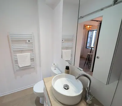 a bathroom with a sink and a toilet and a mirror at Le Petit Capoine 3 - T2 en plein centre de Carcassonne in Carcassonne