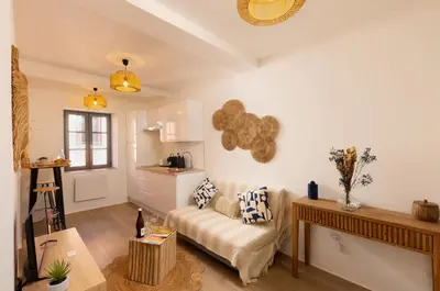 a living room with a couch and a table at Le Petit Capoine 2- T2 Plein Centre de Carcassonne- in Carcassonne