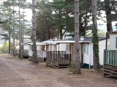 a row of cottages in the woods with trees at Mobil-home confortable avec terrasse à Sournia - API-1-52-358 in Sournia