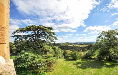 a tree in the middle of a field with a sky at Apaisante Maison Authentique in Sainte-Foi