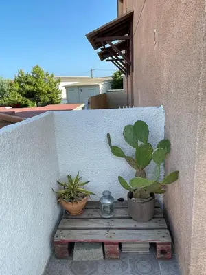 a couple of potted plants sitting on a wooden bench at Duplex plage des chalets Gruissan plage in Gruissan