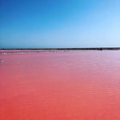a large body of pink water with a blue sky at Duplex plage des chalets Gruissan plage in Gruissan