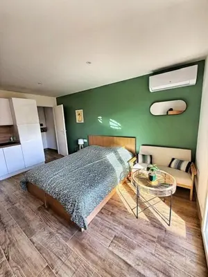 a green bedroom with a bed and a table at Studio à l'écurie 2 in Narbonne