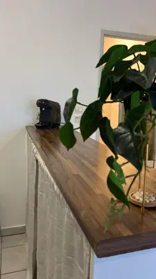 a plant sitting on top of a wooden table at Charming apartment with terrace and parking in Carcassonne in Carcassonne