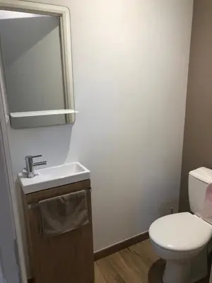 a bathroom with a toilet and a sink and a mirror at Maison d'hôtes à Castres-Saïx in Saix