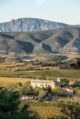 a building in a field with a mountain in the background at La maison du berger in Cassagnes