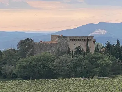 a castle on top of a hill with trees at La maison du berger in Cassagnes