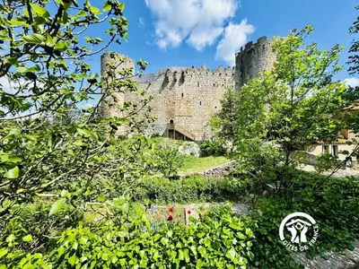 a view of the castle from the bushes at La marelle in Villerouge-Termenès