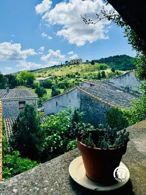 a potted plant sitting on the ledge of a balcony at La marelle in Villerouge-Termenès