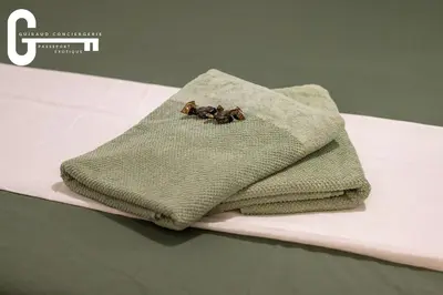 a towel with three animals sitting on top of it at Elegant T2 avec terrasse Coeur de Castelnaudary Gare in Castelnaudary