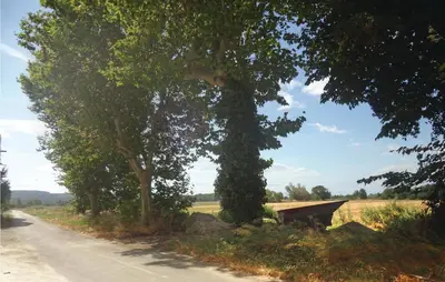 a bench on the side of a road with trees at Nice Home In Narbonne With Sauna in Narbonne