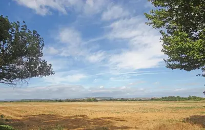 a large open field with a blue sky and trees at Nice Home In Narbonne With Sauna in Narbonne