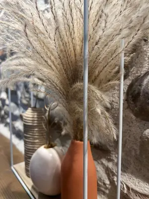two vases with feathers in them on a table at Charmante ferme familiale in Guitalens