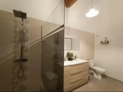 a bathroom with a shower and a sink and a toilet at Suite parentale avec terrasse solarium in Saint-André-de-Roquelongue