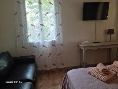 a bedroom with a window with a curtain with birds on it at Aux couleurs de la terre d'oc in Villepinte