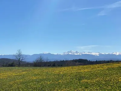 a field of yellow flowers with mountains in the background at Chambres d'hôtes -L'Atelier du Presbytère