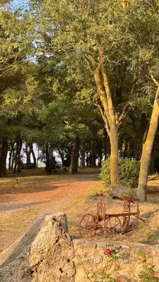 a park with two benches and a tree at Maison Au Phil de Lau in Raissac-dʼAude