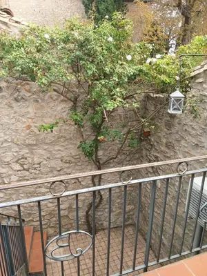 a tree next to a stone wall with a fence at Maison Au Phil de Lau in Raissac-dʼAude