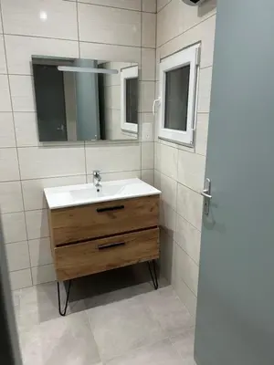 a bathroom with a sink and a mirror at Les berges de la cité in Carcassonne