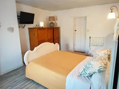a bedroom with a large bed and a tv at Chez Christine et Fred in Villedaigne