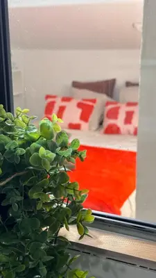 a green plant in front of a window at T2 cosy tout équipé, parking et wifi gratuit, Castres in Castres
