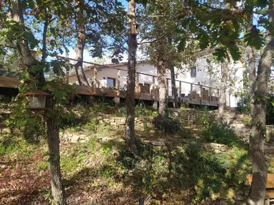 a house in the woods with trees at La Colline aux Oiseaux - Quatre chambres in Fa