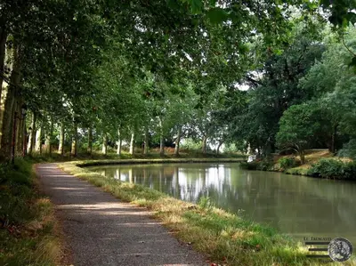 a winding road next to a river with trees at appartement T3 duplex centre de Castelnaudary in Castelnaudary