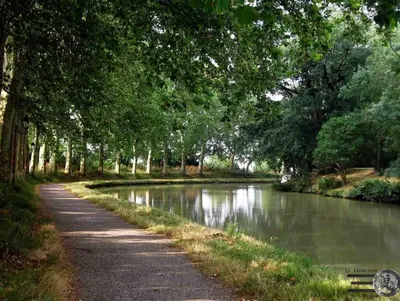 a winding road next to a river with trees at grand studio avec terrasse centre Castelnaudary in Castelnaudary
