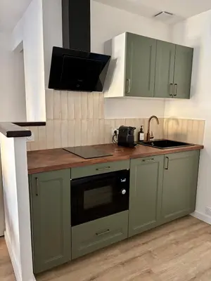 a kitchen with green cabinets and a sink at Le Petit Faubourg - Cocooning and bright - Cité in Carcassonne