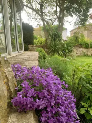 a bunch of purple flowers in front of a house at Le jardin du Griffoul in Nébias