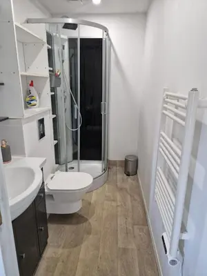 a bathroom with a shower and a toilet and a sink at Cottage with large garden in Rieumajou